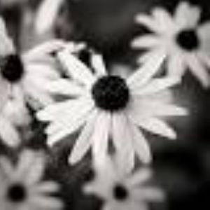 Meet your Posher, Jane