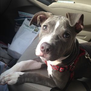 Meet your Posher, Kerri