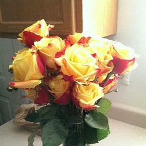 Meet your Posher, Justine