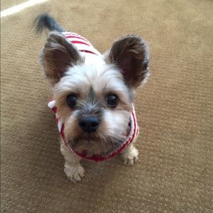 Meet your Posher, Cindy