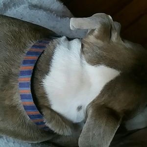 Meet your Posher, Deb