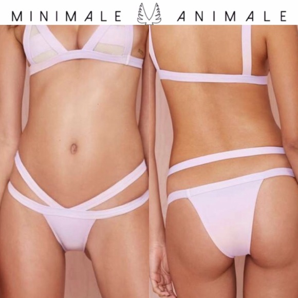 Brandy Melville Other - NWT MINIMALE ANIMALE ombré