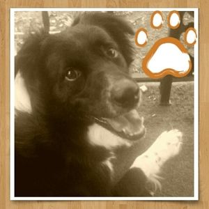 Meet your Posher, Lola