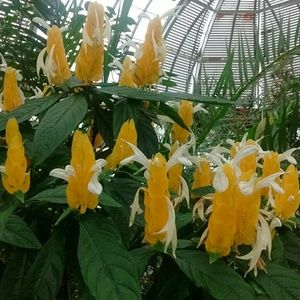 Meet your Posher, Chloe