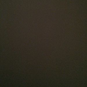 Meet your Posher, Tanner