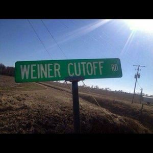 Meet your Posher, George