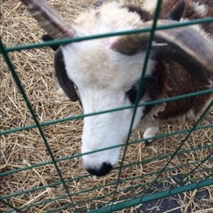 Meet your Posher, Colleen