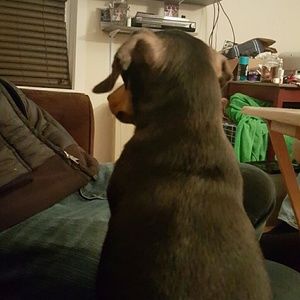 Meet your Posher, Tori