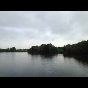 Meet your Posher, Maureen