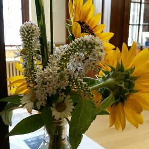 Meet your Posher, Kirsten