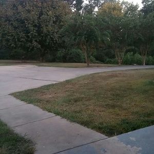 Meet your Posher, Barron