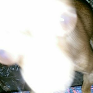 Meet your Posher, Dee