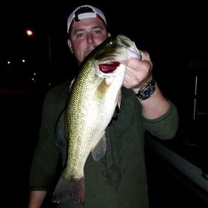 Meet your Posher, Debbie dawn