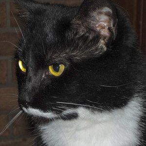 Meet your Posher, Angie