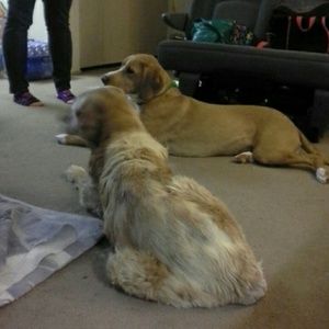 Meet your Posher, Meghan