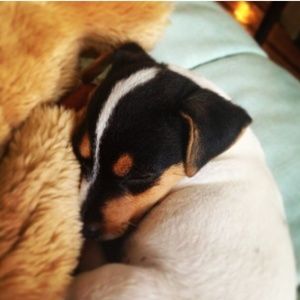 Meet your Posher, Sofia