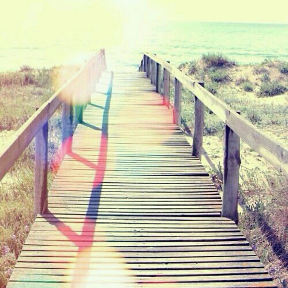 Meet your Posher, Morgan - Picture 1 of 1