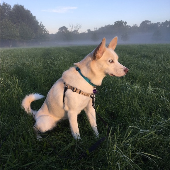 Meet your Posher, Clare - Picture 4 of 4