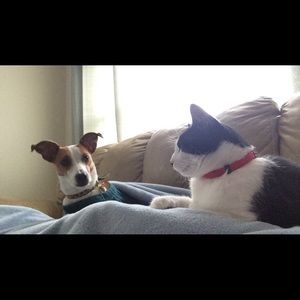 Meet your Posher, Alex