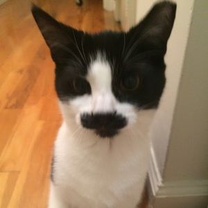 Meet your Posher, Hilda