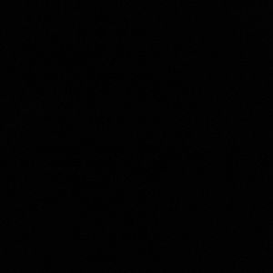 Meet your Posher, Shelly