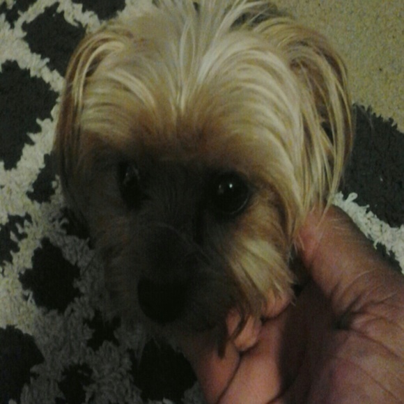 Not for sale - Picture 2 of 2