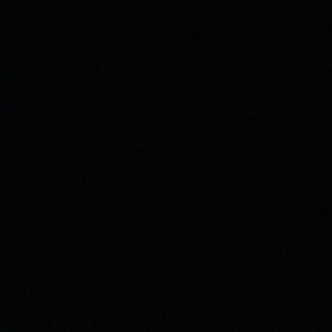 Meet your Posher, Palemon