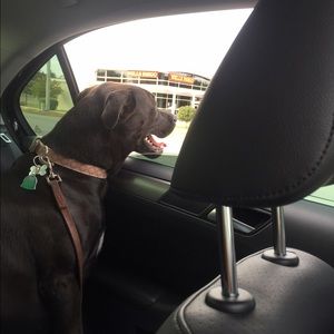 Meet your Posher, Valene