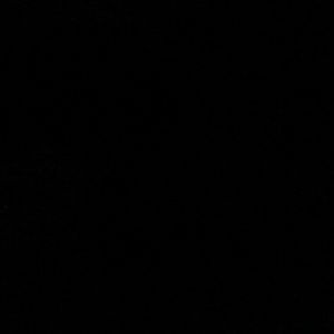 Meet your Posher, Lorraine