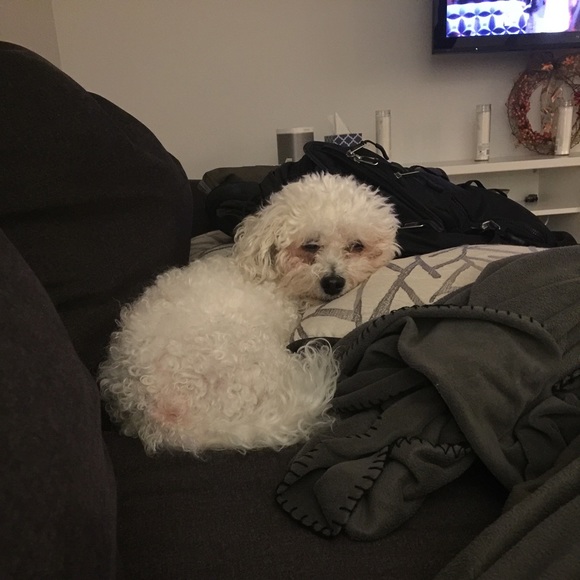 Meet Me! - Picture 2 of 4