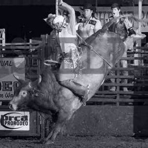 Meet your Posher, Austin