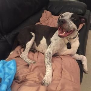 Meet your Posher, Lonny