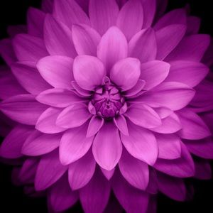 Meet your Posher, Kaitlyn