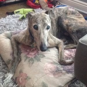 Meet your Posher, Tori