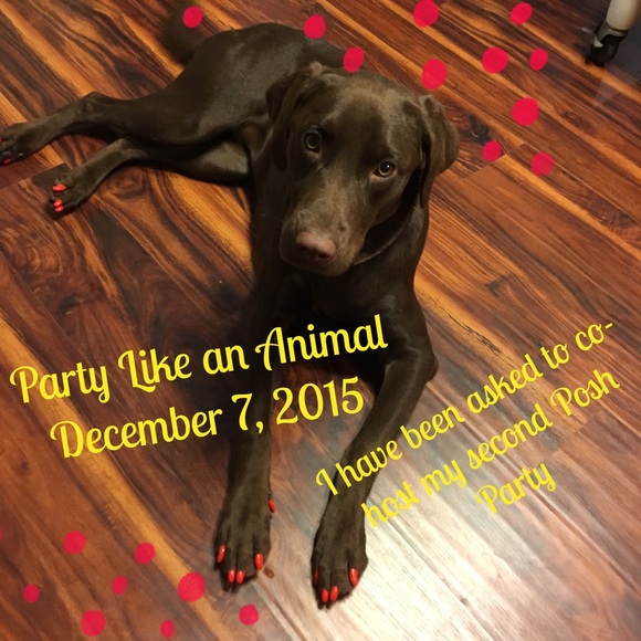 Posh Party.  December 7, 2015 - Picture 3 of 4