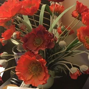 Meet your Posher, Maryanne