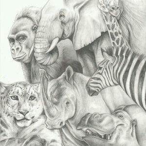 Meet your Posher, Latosha