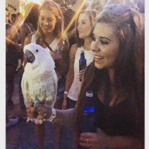 Meet your Posher, Maddie