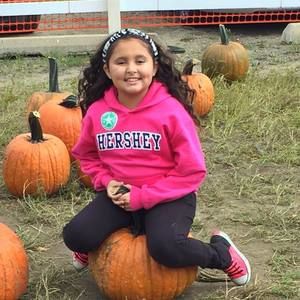 Meet your Posher, Nadine