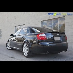 Meet your Posher, Bernard