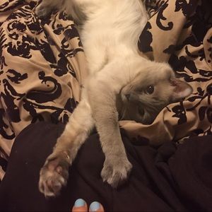 Meet your Posher, Joannie