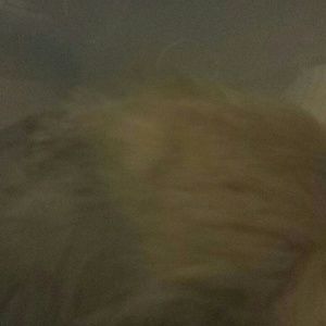 Meet your Posher, Brandy