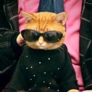 Meet your Posher, Jessie