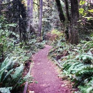 Meet your Posher, Cristina