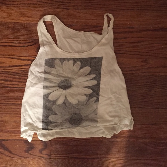 Brandy Melville Crop Top
