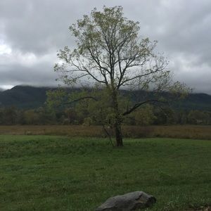 Meet your Posher, Lavon