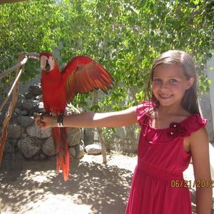 Meet your Posher, Maia