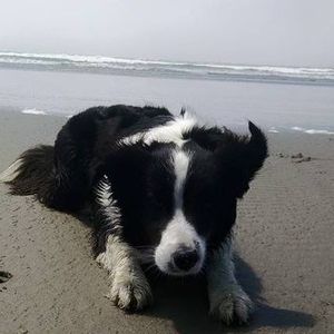 Meet your Posher, Tami