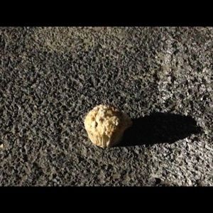 Meet your Posher, Sierra