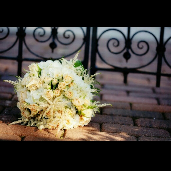 Meet your Posher, Brooke - Picture 1 of 1